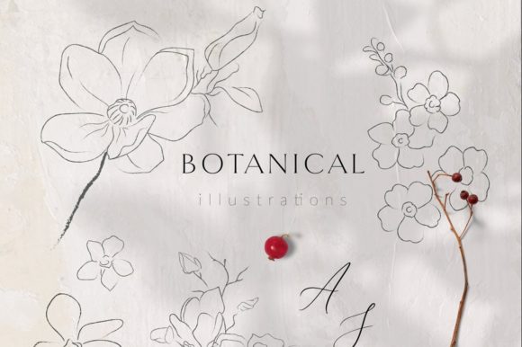 Line Drawing Botanicals for Graphic Templates